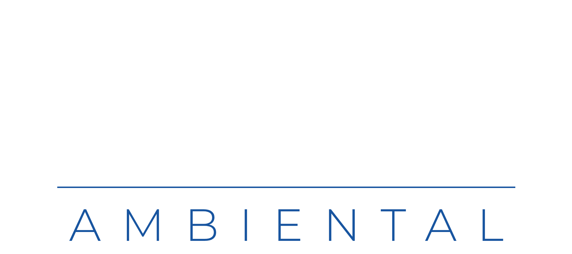 VGS Ambiental